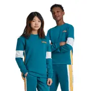 adidas Originals Junior Break Crew Sweatshirt