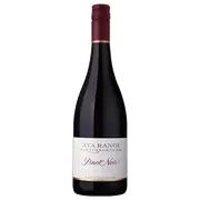 2020 Ata Rangi Pinot Noir | The Wine Collective