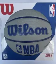 Wilson NBA DRV Gray Size 6