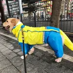 狗狗雨衣大型犬金毛中型犬四腳防水全包衣服拉布拉多寵物大狗雨披