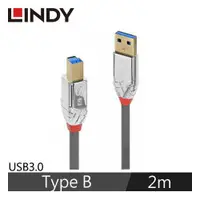 在飛比找有閑購物優惠-LINDY林帝 CROMO USB3.0 TYPE-A公 T