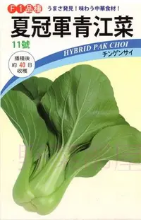 在飛比找Yahoo!奇摩拍賣優惠-【野菜部屋~】F24 夏冠軍青江菜種子2.6公克 ,耐熱青江