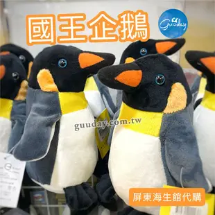 國王企鵝 六吋 屏東海生館 XPARK 紀念品  可愛企鵝 企鵝娃娃 企鵝玩偶 企鵝玩具 企鵝娃娃 可愛的東西 生日禮物