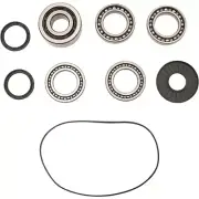 Polaris 2017 RZR 1000 XP 1000 XP 4 Differential Bearing and Seal Kit (25-2148)