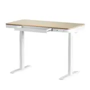 Standing Desk Motorised Electric Dual Motor Draw 120Cm Oak
