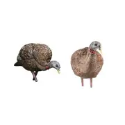 AVIAN-X LCD Feeder Hen AVX8007 & Breeder Hen AVX8008 Turkey Decoys | Realisti...