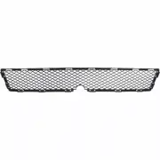 New Front Lower Grille Insert Fits 2010-2011 Nissan Rogue Krom Model NI1036104 (for: Nissan)
