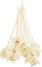 10Pcs Dried Flower Diffuser Sticks Aroma Sticks for Essential Oils Natural Fragrance Diffuser Reeds for Home Office and Yoga Rooms
