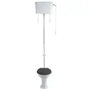 Turner Hastings Birmingham High Level Toilet Black Seat w/ White Brackets
