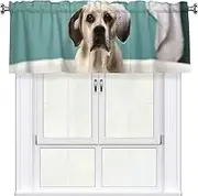LHBWCVN Bath and Dog Valances for Windows, Rod Pocket Window Treatment Drapes Farmhouse Kitchen Curtains Short Blackout Window Curtains for Living Room Bedroom Decor 54x18 Inch