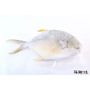 【海鮮主義】金鯧魚(約500G)