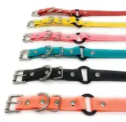 Kiwi 3/4" Waterproof Biothane Bungee Dog Receiver Strap- 7 Colors