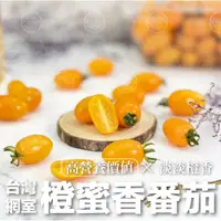 在飛比找蝦皮購物優惠-【綠之果物】橙蜜香番茄 橙蜜香 番茄 皮薄細緻超甜 網室橙蜜