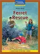 Ferret Rescue