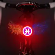 USB Charging Rear Lamp Safety Warning Light Pisces Style (Red Blue)