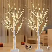 2-Pack 2FT Birch Tree with 48 LED Lights and Timer for