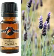 Gumleaf Fragrance Australian Lavender Fragrant Oil - 10ml, Cruelty Free & Vegan, Phthalate-Free Fragrance