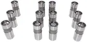 DNJ LFK124137 Valve Lifter Kit For 62-97 Ford Mercury Lincoln 2.3L-7.5L Set of 12 Valve Lifter Kit