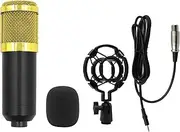 Daseeme BM800 Condenser Microphone Microphone + V8 Sound Card net red Anchor Computer Bracket Large Diaphragm Live Broadcast Set BM800 Full Plastic Single Wheat (Gold mesh)