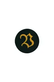 heer paymaster candidates early model sleeve trade insignia