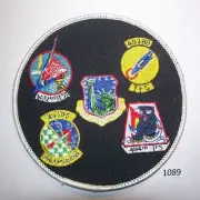 USAF Command Patch Often Refered To As The "Gaggle" Patch. 4.5" Diameter.