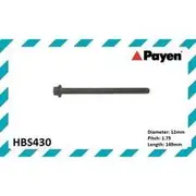Payen Cylinder Head Bolt Set - HBS430