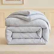 KCCRHIN All Season Queen Size Comforter Warm Cosy King Size Duvet Extra Warm Winter Quilt Ultra Soft Quilt Core Quilt Single/Double Various Weights to Choose for All Seasons,Blue,180 * 220cm/2kg