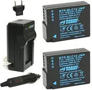 Wasabi Power Battery (2-Pack) and Charger for Panasonic DMW-BLC12 and Leica BP-DC12, BP-DC12-U, 18729, V-Lux 4, V-Lux (Typ 114), Q
