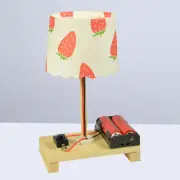 Science Experiments Desk Lamp Hand Made Teaching Toy Assembly Model