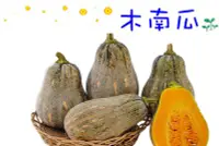 在飛比找Yahoo!奇摩拍賣優惠-阿成南瓜 木瓜型 一代交配 果肉香甜產量高 種苗
