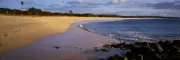 ShelfScapes 1133 Beach 10" x 30" Collectible Toy Soldier Diorama Backdrop