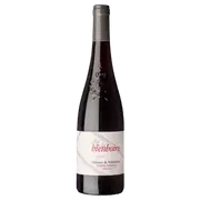 2022 Chateau de Villeneuve Saumur Champigny ‘Clos de la Bien Boire’ red | The Wine Collective