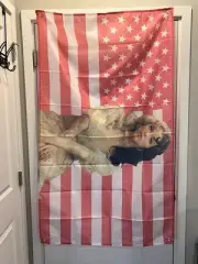 Melanie Martinez Banner Flag Tapestry 3' X 5' #026