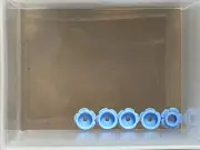 LEGO Parts - Bright Light Blue Plate, Round 1 x 1 Flower Edge - No 24866 - QTY 5