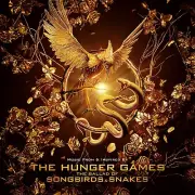 THE HUNGER GAMES MOVIE POSTER,BARGAIN,1