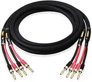 A Pair of HiFi Speaker Wires Pure Copper Silver-Plated Nerve Wire Main Speaker Surround Sound Connection Dedicated Wire(Banana to Banana,300mm)