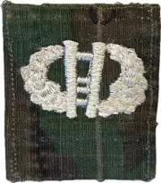 WARTIME US ARMY LRRP / ARVN RECONNAISSANCE WINGS (346)
