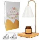 Candle Warmer Lamp,Dimmable Electric Candle lamp with Timer, Wax Melt Warmer