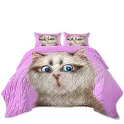Cats Cute and Funny Faces Amazed Kitten Coverlet