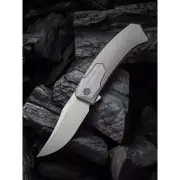 WE KNIFE WE21015-4 SHUDDAN Folding Knife, Flipper, Gray Titanium