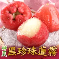 在飛比找生活市集優惠-【享吃鮮果】神農老饕黑珍珠蓮霧4斤