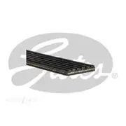 Gates Racing Micro-V Belt - 10PK1619RPM