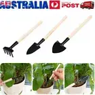 3pcs Mini Plant Garden Gardening Tools Rake Shovel Set With Wooden Handle Tool