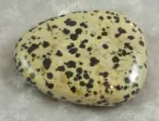 Dalmation Jasper Polished Flat Stone