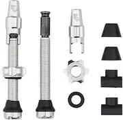 Wolf Tooth Tubeless Valve Stem Kit for Clik Valve - 44mm Raw Silver
