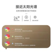 在飛比找Yahoo!奇摩拍賣優惠-公司貨檯燈護眼學習創意禮品led宿舍書桌學生檯燈usb充電兒