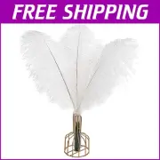 Natural White Ostrich Feathers - 12 Pcs, 20-22 Inch for Wedding Centerpieces