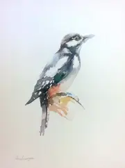 Thrush, Birds, Watercolor artwork, Handmade, Original painting on paper