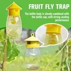 Reusable Fruit Fly Trap Four-hole Fruit Fly Needle U89C Garden Bee For D5M1