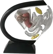 3D Reproductive Uterus Model Laboratory Kits Clear Female Reproductive System Model for Educational Learning Teaching Tools